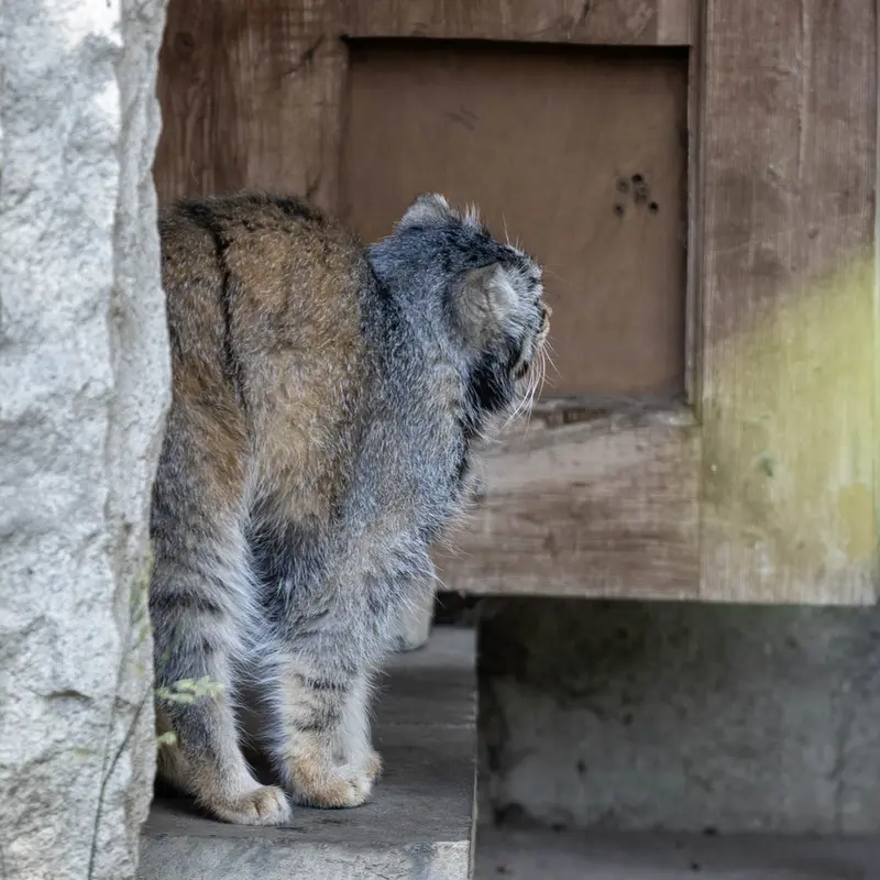 A photograph of Timofey in Moscow zoo