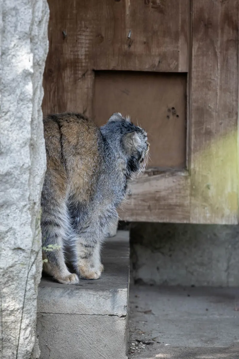 A photograph of Timofey in Moscow zoo