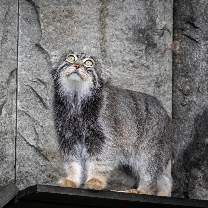 A photograph of Timofey in Moscow zoo