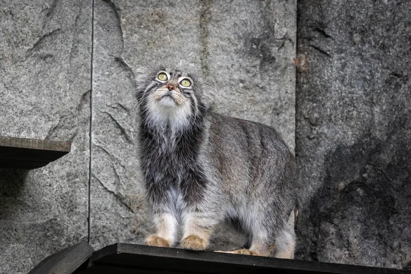 A photograph of Timofey in Moscow zoo