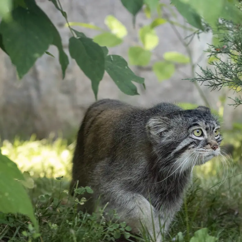 A photograph of Timofey in Moscow zoo