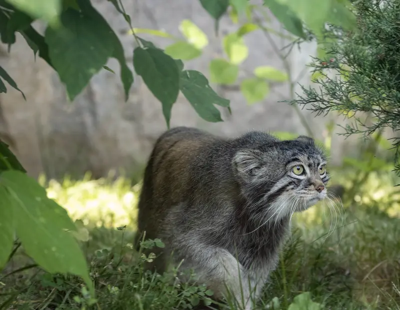 A photograph of Timofey in Moscow zoo