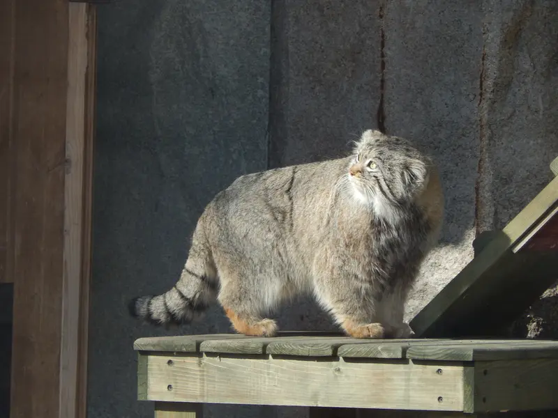 A photograph of Timofey in Moscow zoo