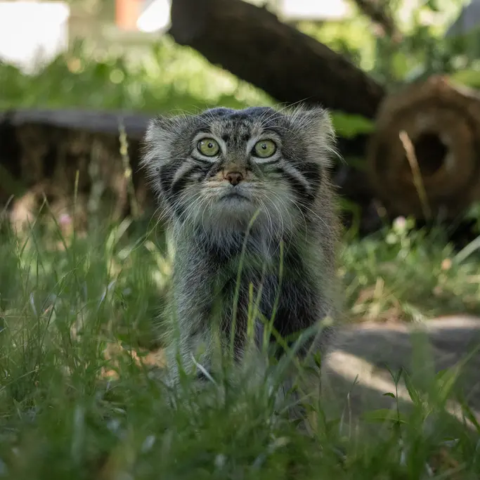 A photograph of Timofey in Moscow zoo