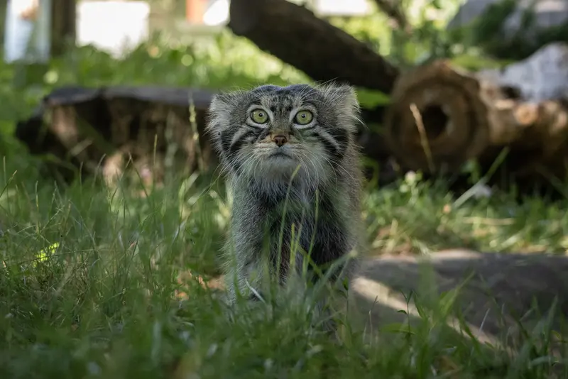 A photograph of Timofey in Moscow zoo
