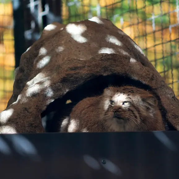 A photograph of Melissa in Lithuanian Zoo