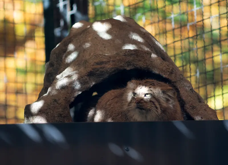 A photograph of Melissa in Lithuanian Zoo