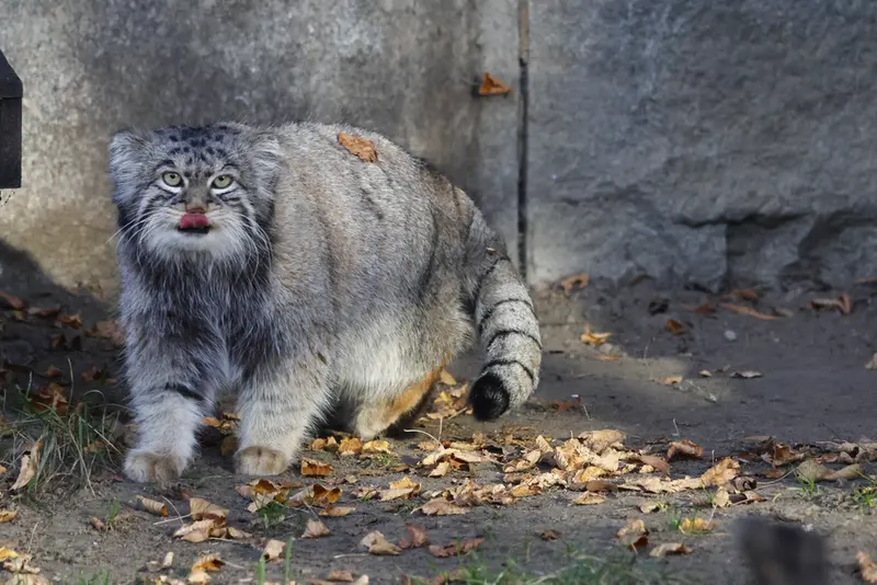 A photograph of Timofey in Moscow zoo