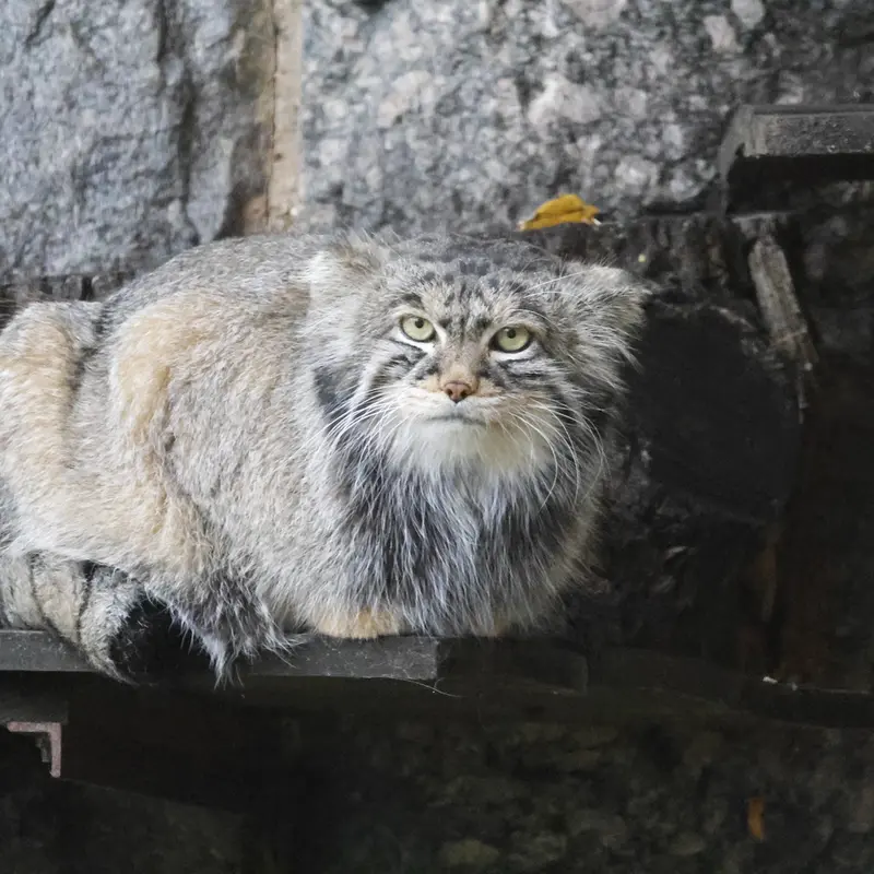 A photograph of Timofey in Moscow zoo