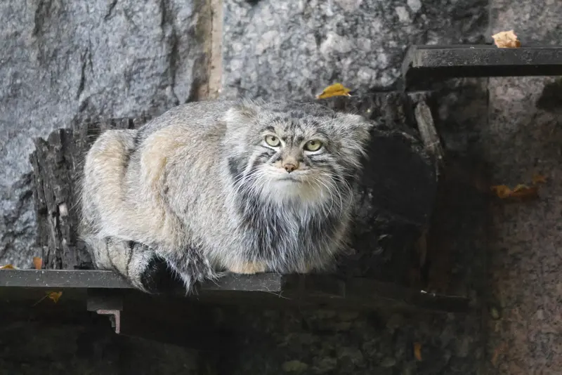 A photograph of Timofey in Moscow zoo