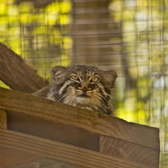 A photograph of Karl-Heinz in Saarbrücken Zoo
