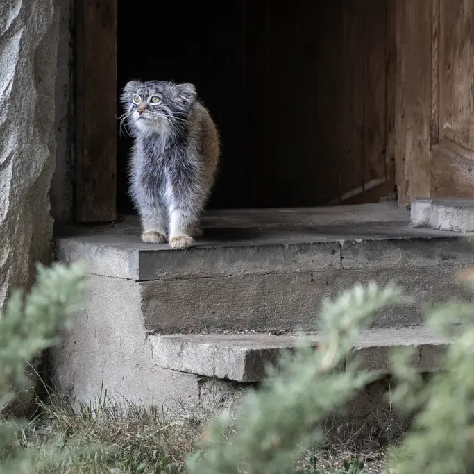 A photograph of Timofey in Moscow zoo