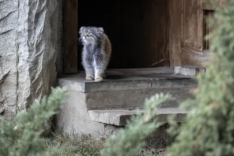 A photograph of Timofey in Moscow zoo