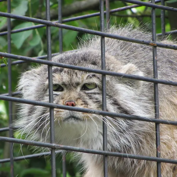 A photograph of Jonathan in Magdeburg Zoo