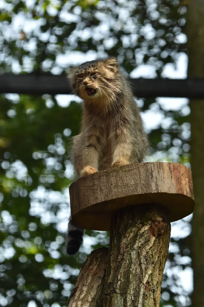 A photograph of Manuel in Gdansk Zoo