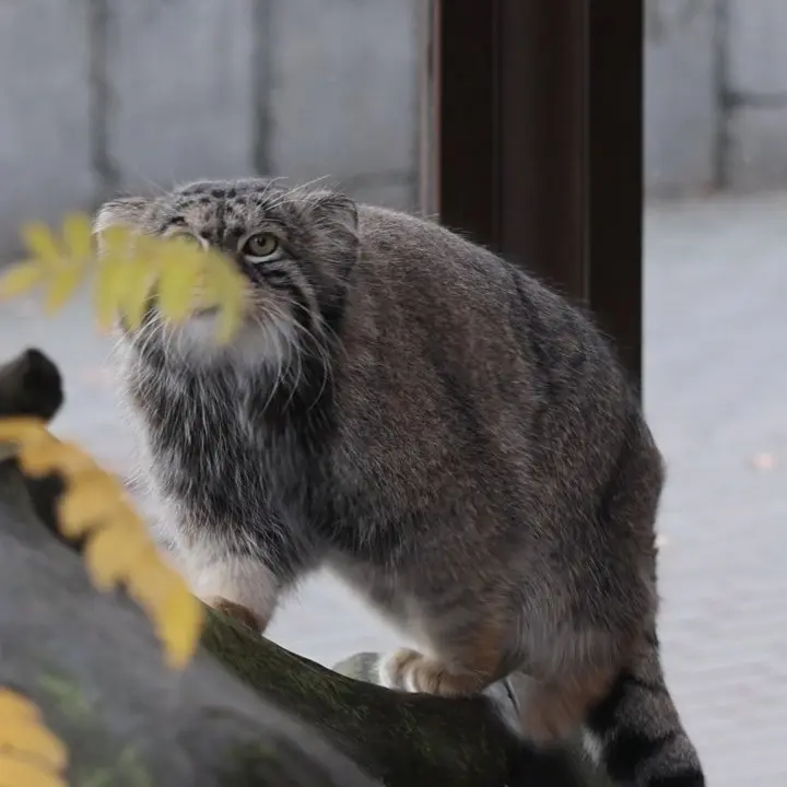 A photograph of Timofey in Moscow zoo