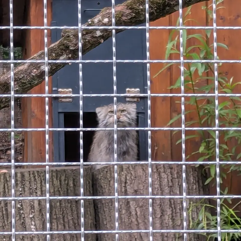 A photograph of Melissa in Lithuanian Zoo