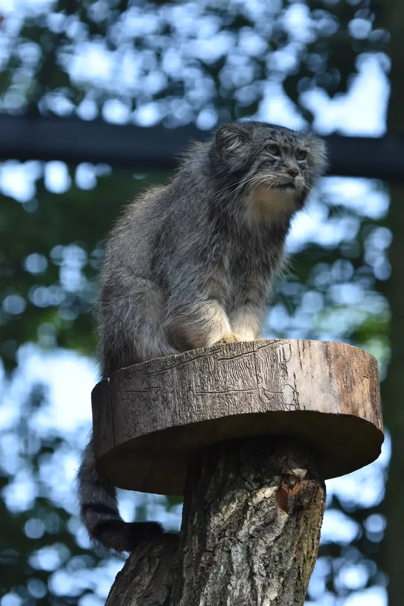 A photograph of Manuel in Gdansk Zoo