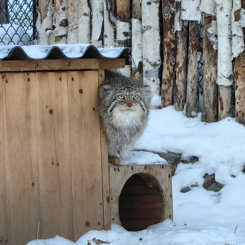 A photograph of Eve in Novosibirsk Zoo