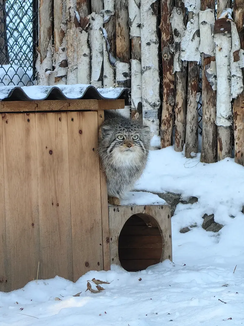 A photograph of Eve in Novosibirsk Zoo