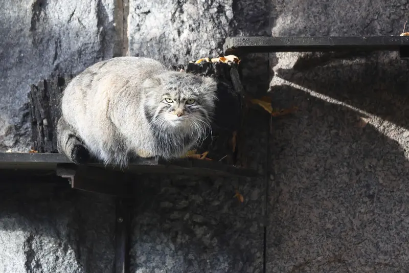 A photograph of Timofey in Moscow zoo