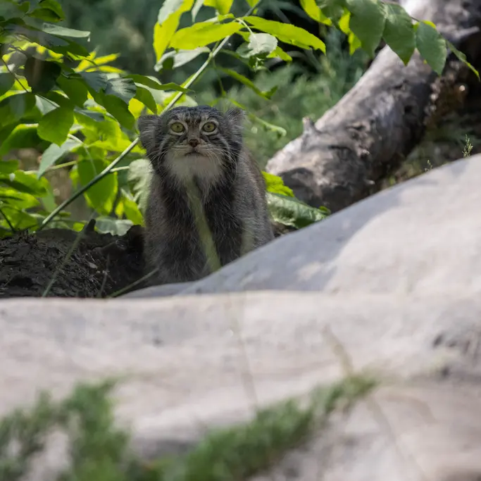 A photograph of Timofey in Moscow zoo
