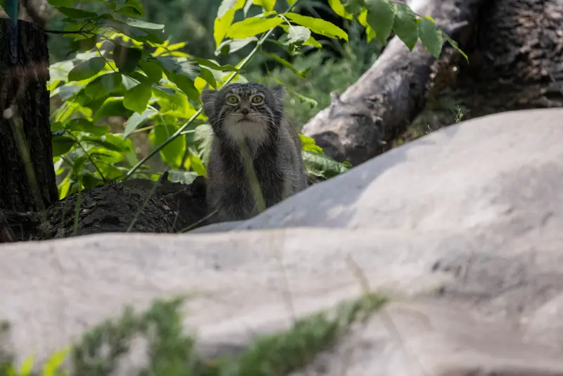 A photograph of Timofey in Moscow zoo