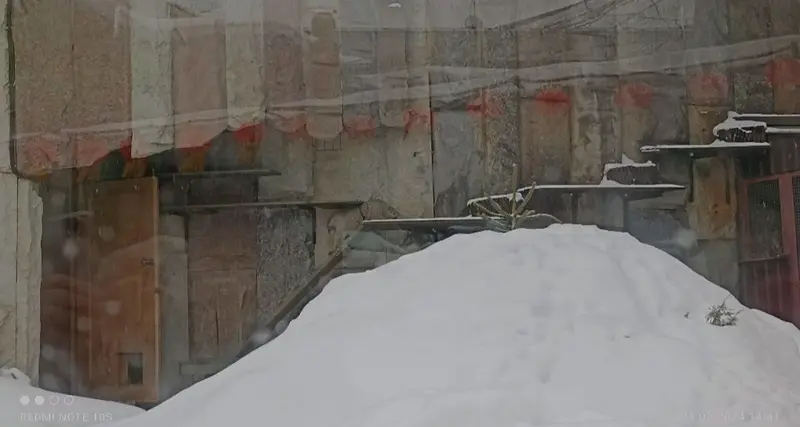 A photograph of Timofey in Moscow zoo