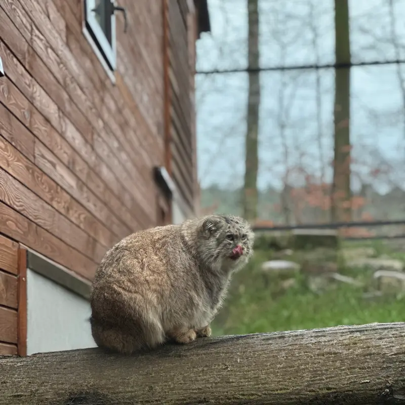 A photograph of Manuel in Gdansk Zoo