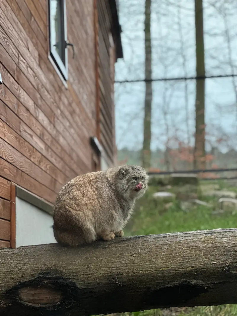 A photograph of Manuel in Gdansk Zoo
