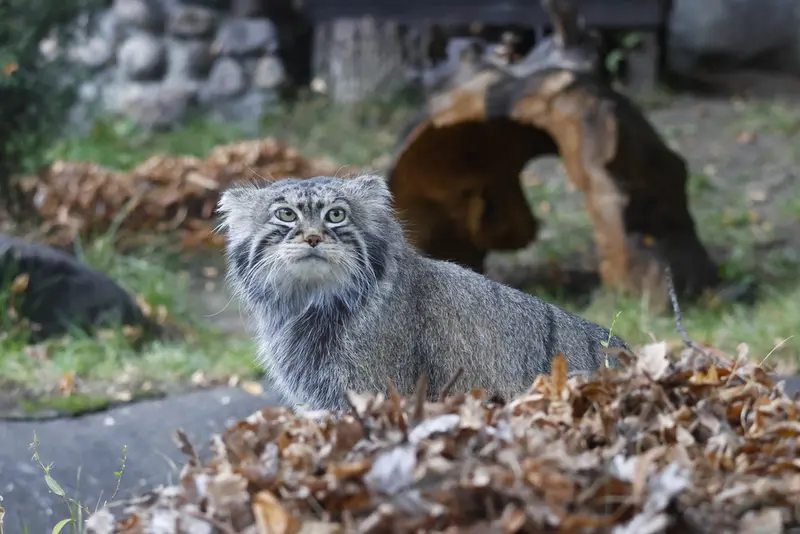 A photograph of Timofey in Moscow zoo
