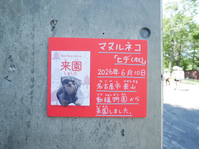 A photograph of Hide in Asahiyama Zoo
