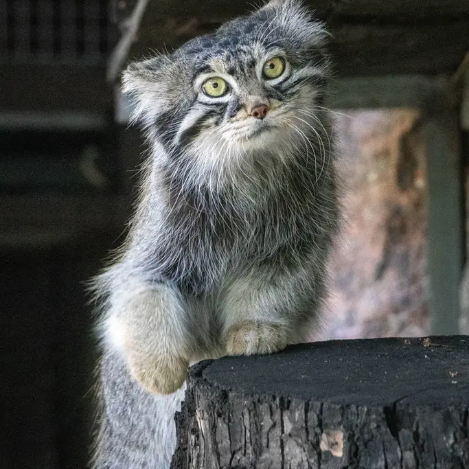A photograph of Timofey in Moscow zoo