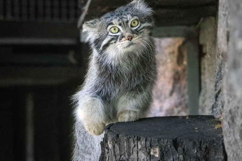 A photograph of Timofey in Moscow zoo