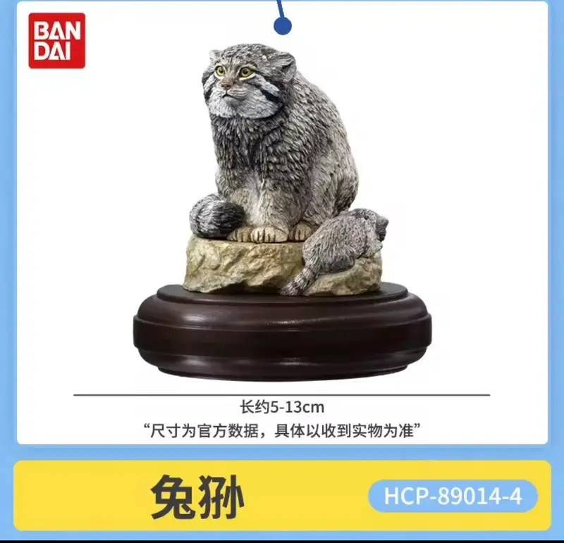 A photograph of a Pallas's cat