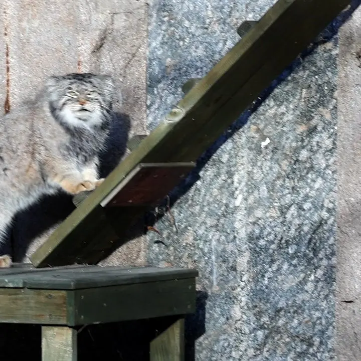 A photograph of Timofey in Moscow zoo