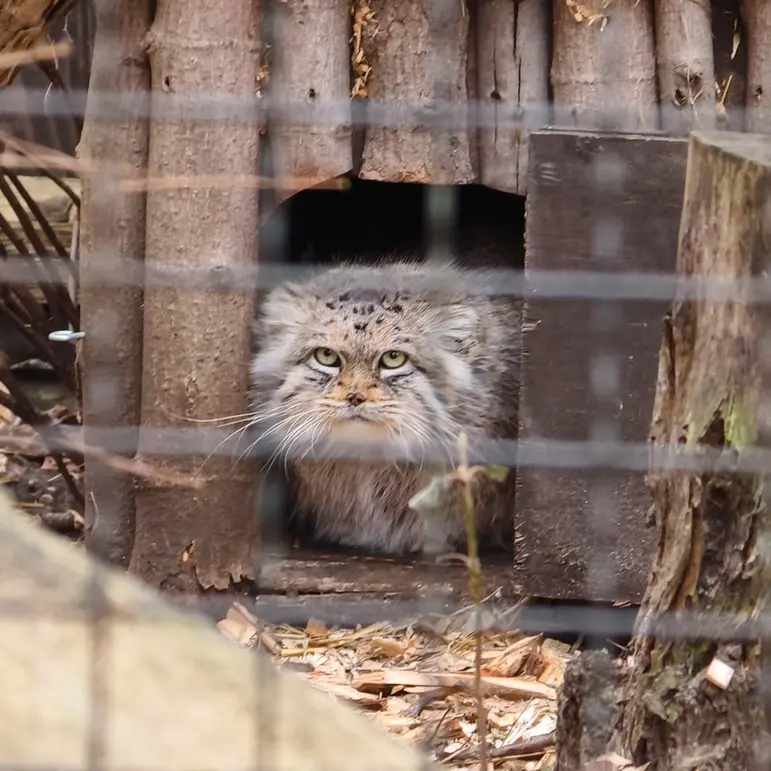 A photograph of Jessie in Warsaw Zoo