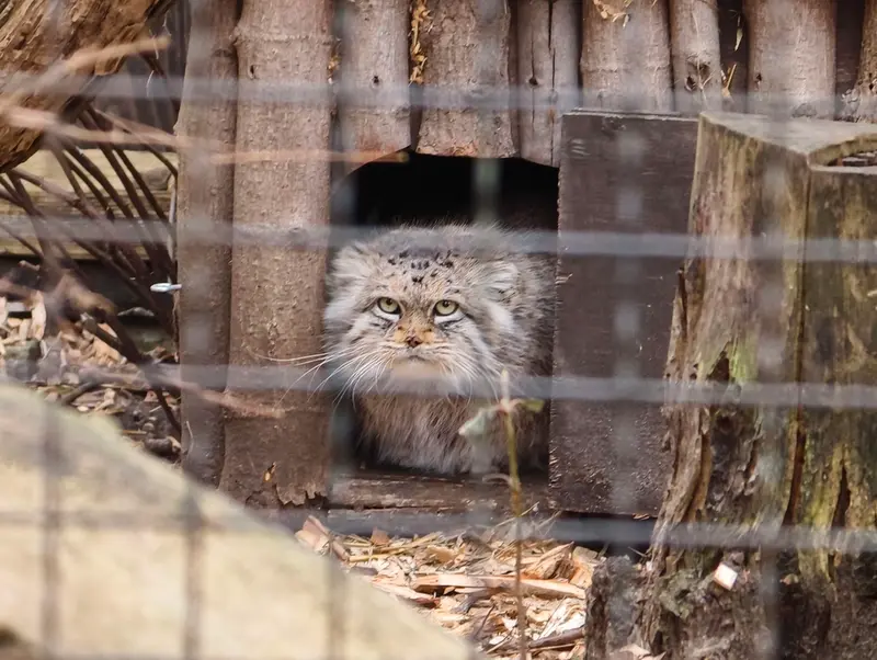 A photograph of Jessie in Warsaw Zoo
