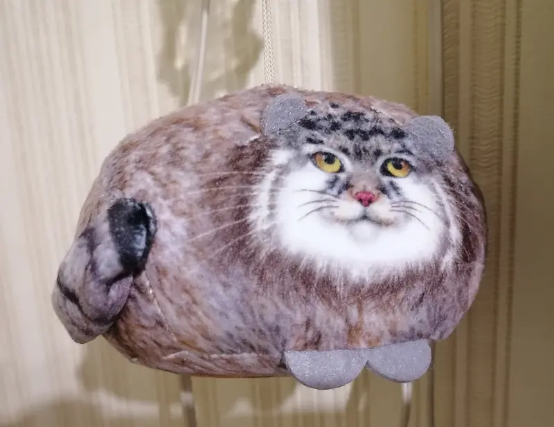 A photograph of a Pallas's cat