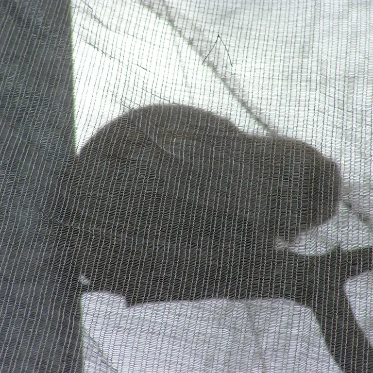 A photograph of Bat-Erdene in The Lakeland Wildlife Oasis