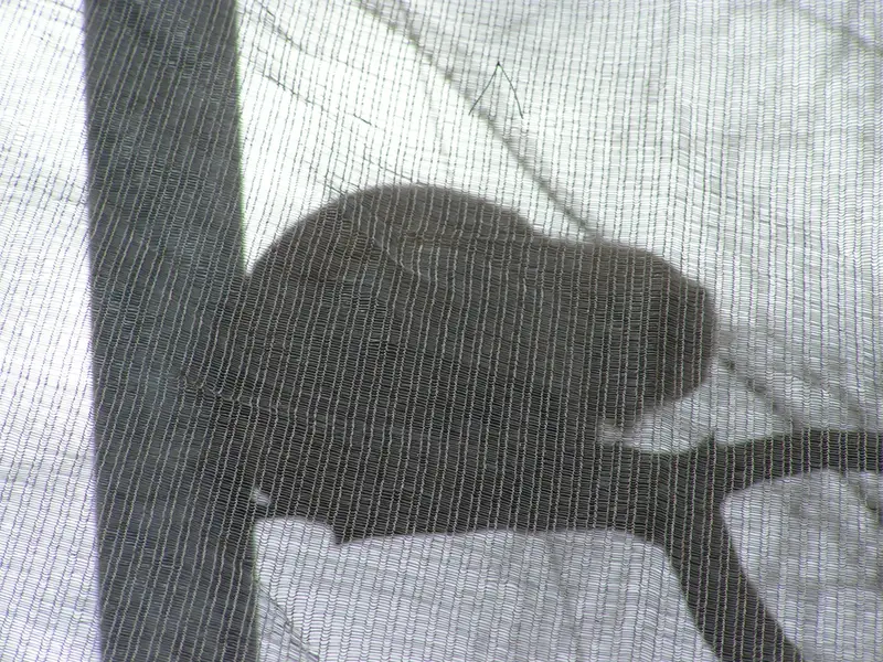 A photograph of Bat-Erdene in The Lakeland Wildlife Oasis