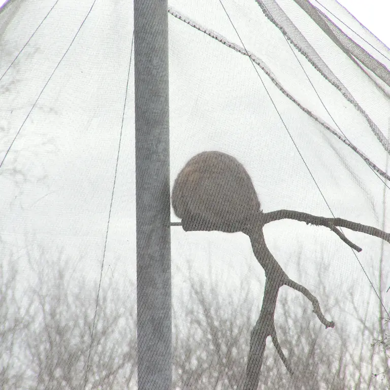 A photograph of Bat-Erdene in The Lakeland Wildlife Oasis