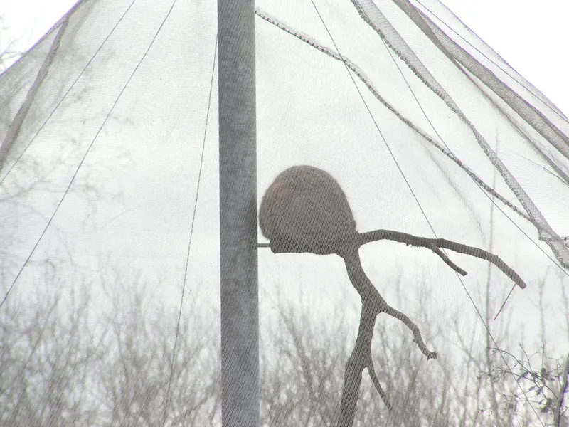 A photograph of Bat-Erdene in The Lakeland Wildlife Oasis