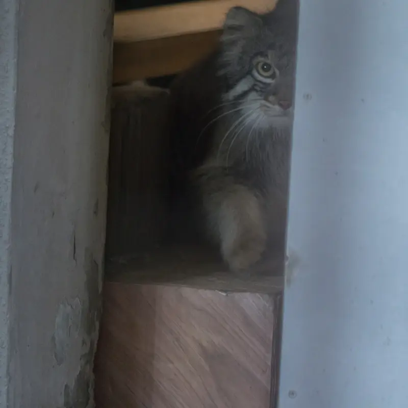 A photograph of Figa in Nogeyama Zoo