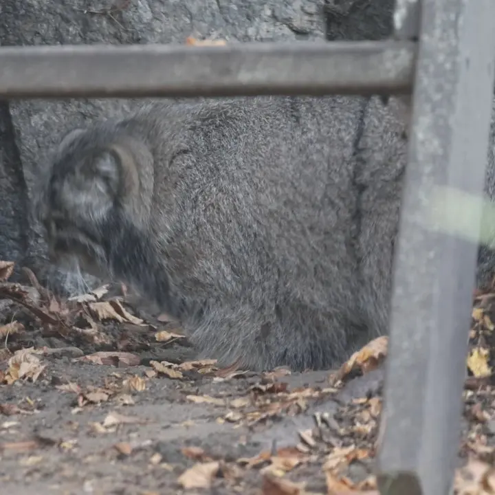 A photograph of Timofey in Moscow zoo
