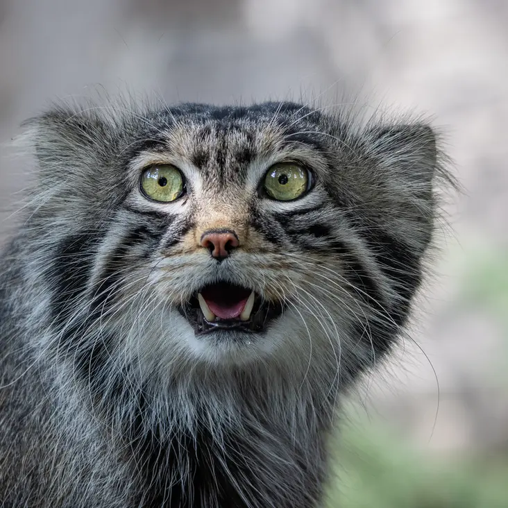 A photograph of Timofey in Moscow zoo