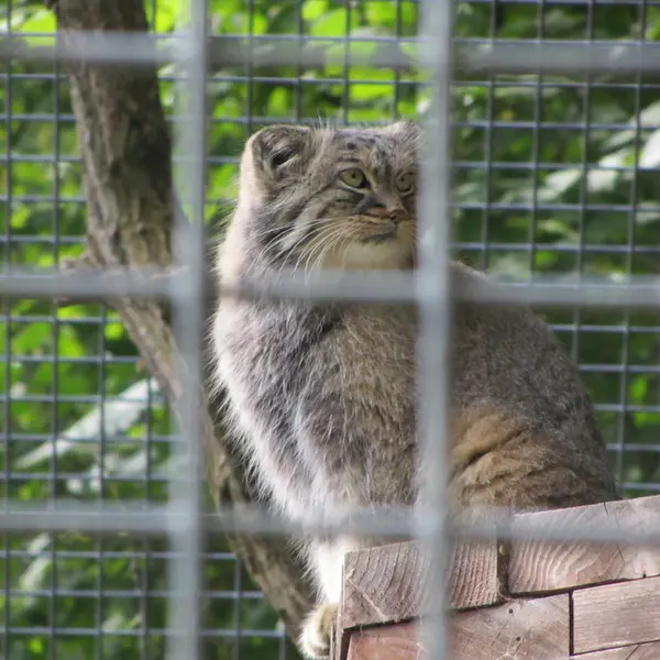 A photograph of Karl-Heinz in Saarbrücken Zoo