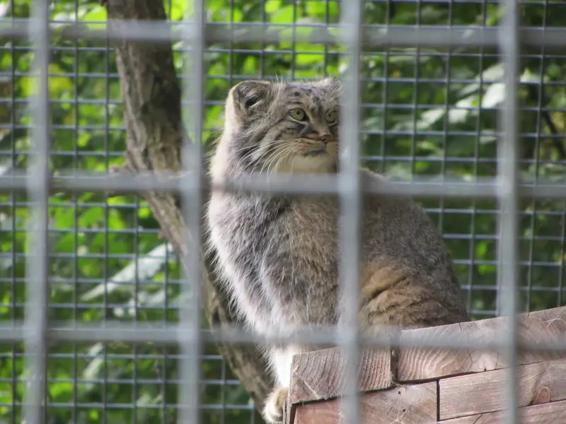 A photograph of Karl-Heinz in Saarbrücken Zoo