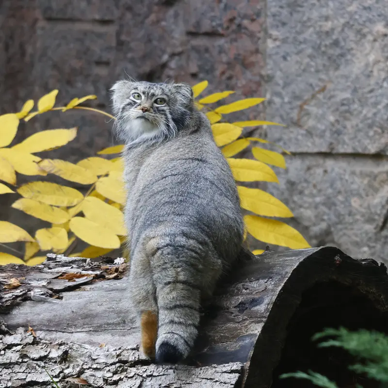 A photograph of Timofey in Moscow zoo