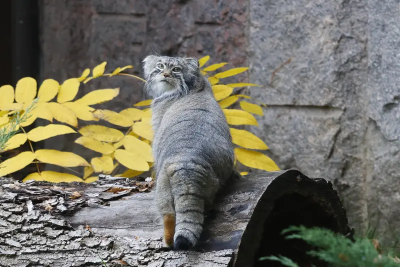A photograph of Timofey in Moscow zoo